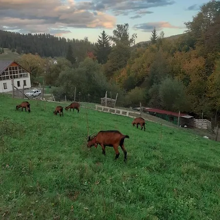 Agroturism Bori Oda ve Kahvaltı *