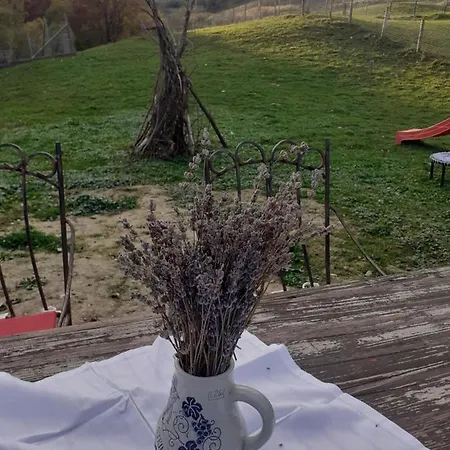 Agroturism Bori Gura Humorului