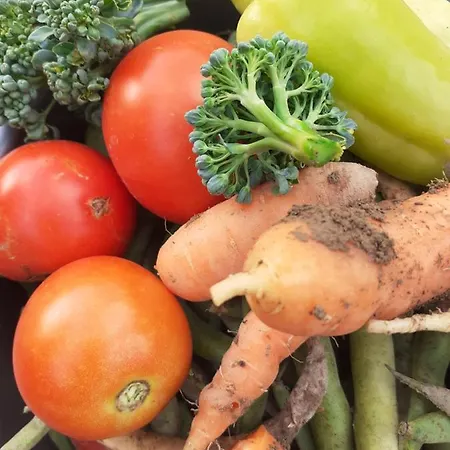 Agroturism Bori Oda ve Kahvaltı *