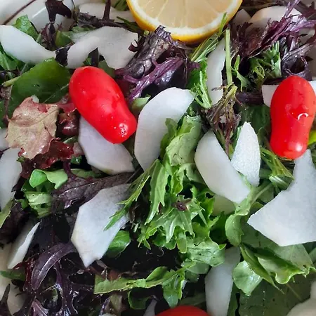 Agroturism Bori Oda ve Kahvaltı Gura Humorului