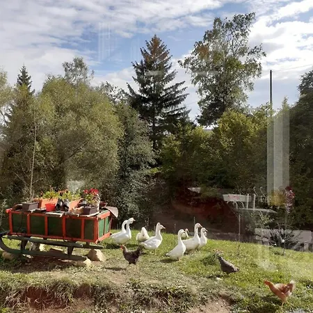 Agroturism Bori * Gura Humorului