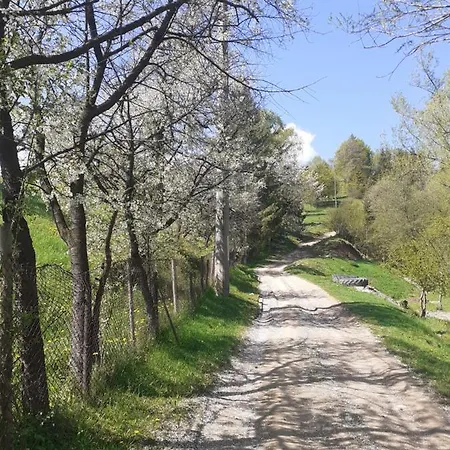 Agroturism Bori Gura Humorului